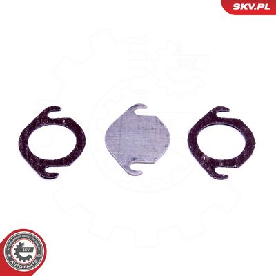Súprava na opravu, ventil AGR ESEN SKV 14SKV540