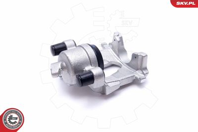 Brake Caliper 55SKV732