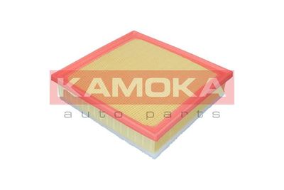 Air Filter F257801