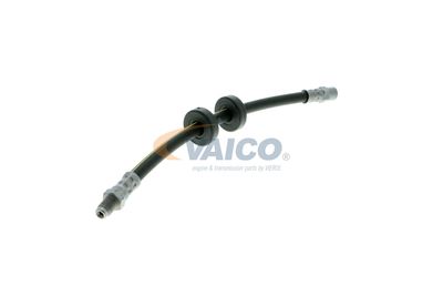 FURTUN FRANA VAICO V101043 52
