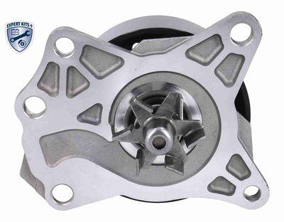 POMPA APA + SET CUREA TRANSMISIE CU CANELURI ACKOJA A700680 3