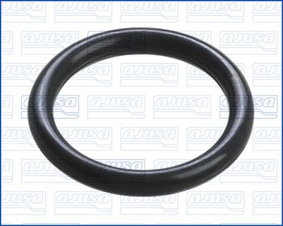 DICHTUNG ÖLAUSLASS (LADER)