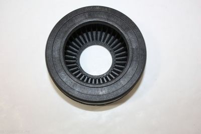 Frikcinis guolis, pakabos statramsčio atramos montavimas