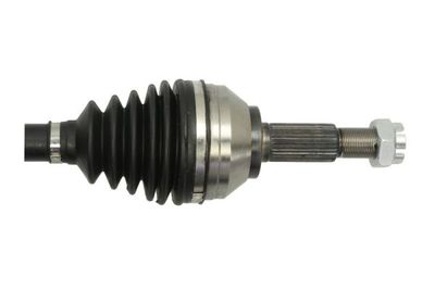 Drive Shaft G21039PC