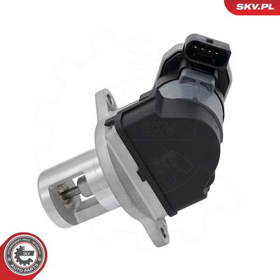 AGR-Ventil ESEN SKV 14SKV307