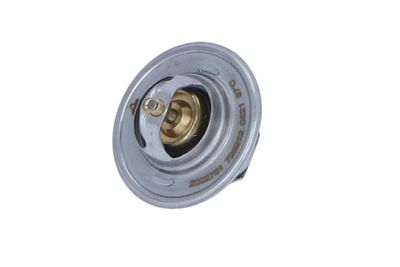 TERMOSTAT LICHID RACIRE NRF 725212 11