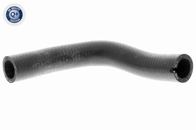 FURTUN EAR SUPRAALIMENTARE