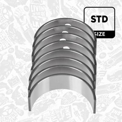 SET RULEMT ARBORE COTIT