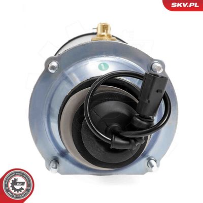 Air Suspension Strut 58SKV701