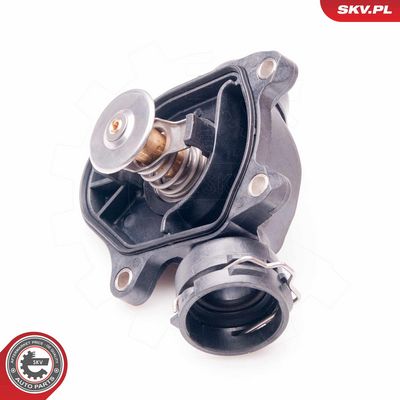 Termostatas, aušinimo skystis