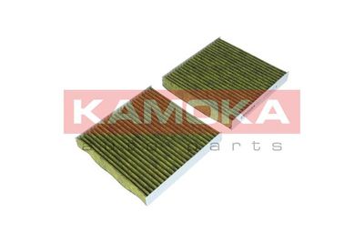 Filter, cabin air 6080113