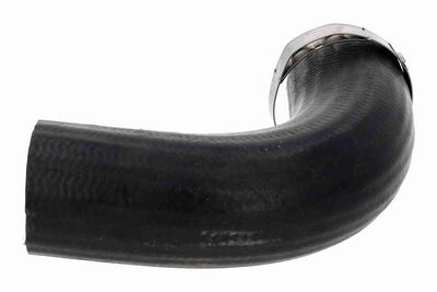 FURTUN EAR SUPRAALIMENTARE ACKOJA A520882 1