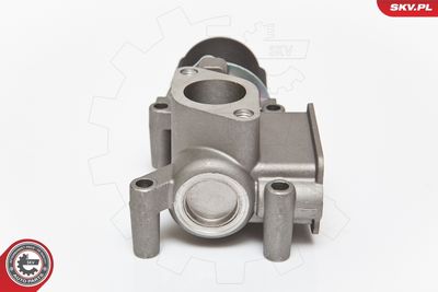 EGR Valve 14SKV064