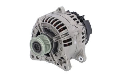 GENERATOR / ALTERNATOR REMANTE 011003000880R 6
