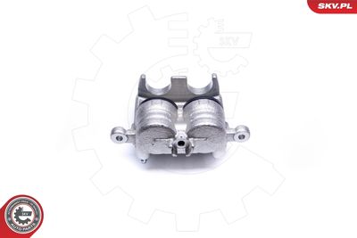 Brake Caliper 42SKV441