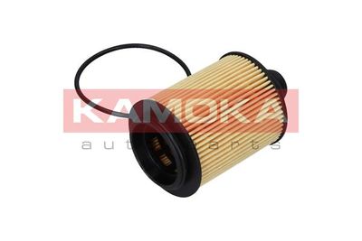 Oil Filter F111601