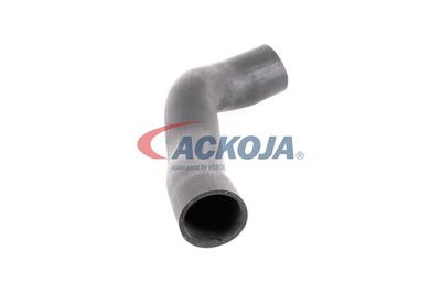 FURTUN EAR SUPRAALIMENTARE ACKOJA A379600 48
