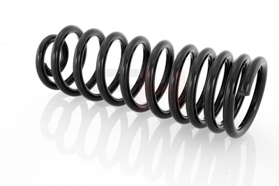 ARC SPIRAL GH GH224704 55