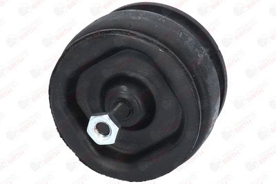 SUPORT MOTOR BIRTH 5527 2