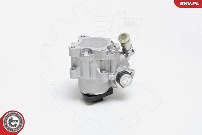 Hydraulic Pump, steering 10SKV014