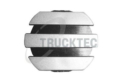 TRUCKTEC AUTOMOTIVE Dangtelis / dangtis