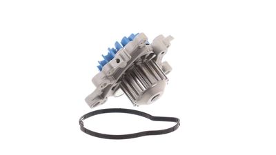 WASSERPUMPE MOTORKüHLUNG SKF VKPC83319 12