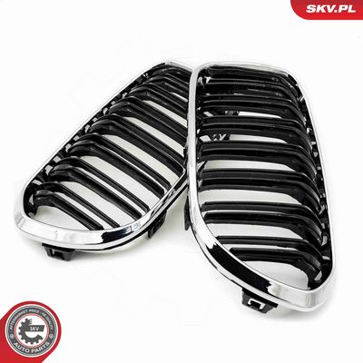 GRILA RADIATOR ESEN SKV 66SKV023 2