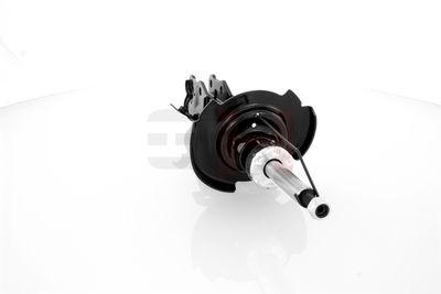 AMORTIZOR GH GH352533H 20