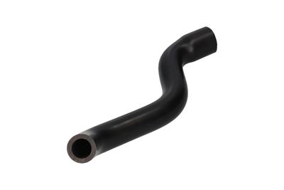 FURTUN ULEI BIRTH 56007 11