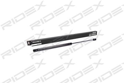 RIDEX 219G0024 Амортизатор багажника и капота  для AUDI A4 B6 Avant (8E5) 2.5 TDI quattro