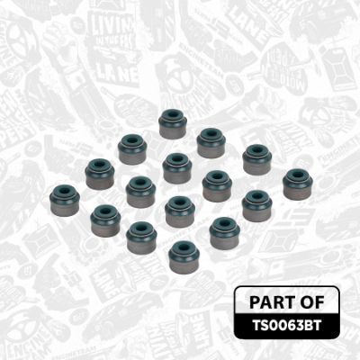 SET GARNITURI CHIULASA ET ENGINETEAM TS0063BT 4