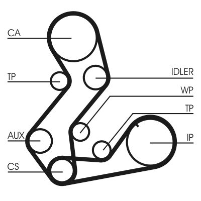 SET POMPA APA + CUREA DINTATA