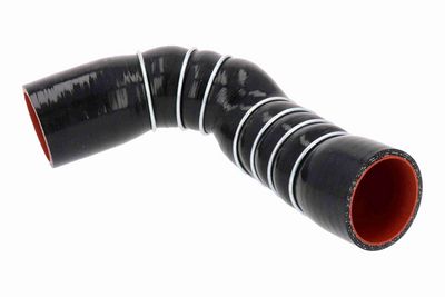 FURTUN EAR SUPRAALIMENTARE ACKOJA A389603 2