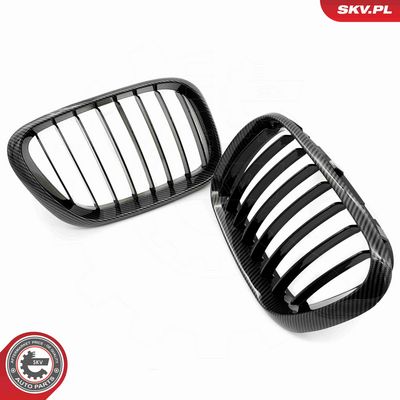 GRILA RADIATOR ESEN SKV 66SKV274 3