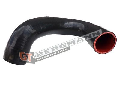 GT-BERGMANN Automotive - Hadica plniaceho vzduchu (hadica turba) VW , GT52-570