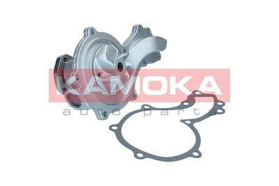 Water Pump, engine cooling T0044