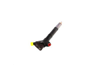 INJECTOR REMANTE 002003002094R 30