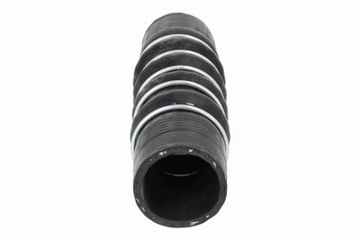 FURTUN EAR SUPRAALIMENTARE ACKOJA A269676 4