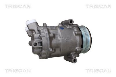 COMPRESOR CLIMATIZARE TRISCAN 902025034 5