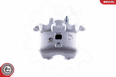 Brake Caliper 55SKV061