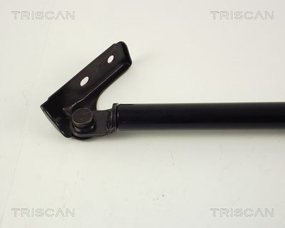 AMORTIZOR PORTBAGAJ KAWE 871050216 1