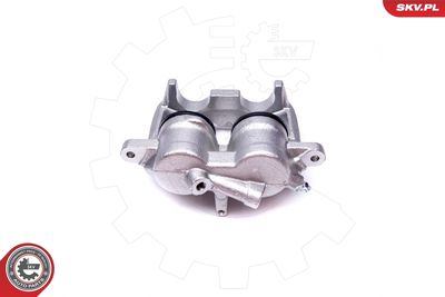 Brake Caliper 50SKV174