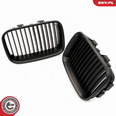 GRILA RADIATOR ESEN SKV 66SKV046 3
