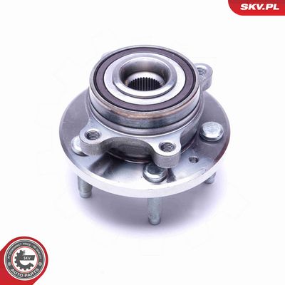 SET RULMENT ROATA ESEN SKV 29SKV373 1