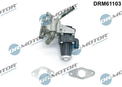 Zawór AGR DR.MOTOR AUTOMOTIVE DRM61103