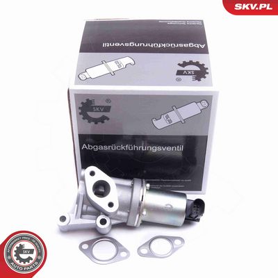 SUPAPA EGR ESEN SKV 14SKV213