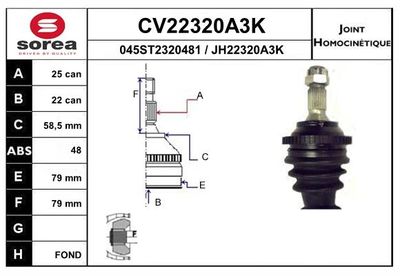 SET ARTICULATIE PLANETARA EAI CV22320A3K