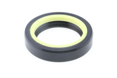 Dichtring