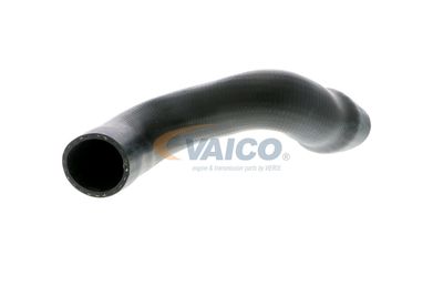 FURTUN EAR SUPRAALIMENTARE VAICO V103828 56