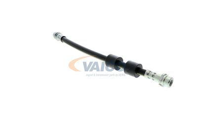 FURTUN FRANA VAICO V251328 41